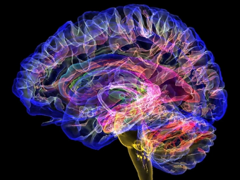 国产用力操屄的视频大脑植入物有助于严重头部损伤恢复